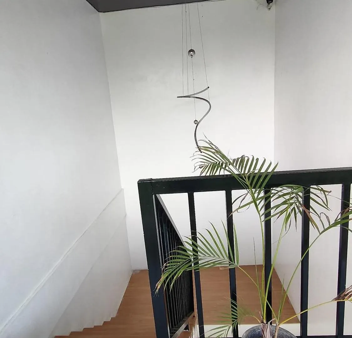 Guest house Diving Addiction Resort Panglao